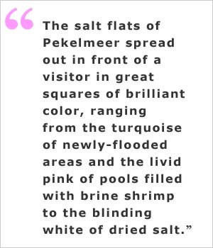 Exploring Bonaire - Quote