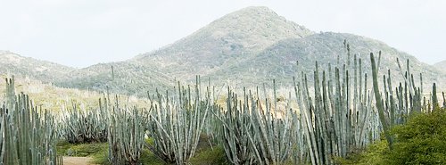 Washington Slagbaai Natioinal Park